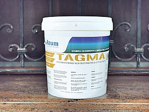 ��� ��� ���� TAGMA