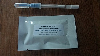 ���� ������ ������ ���� mold kit