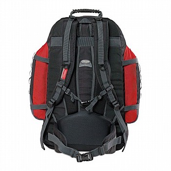 ����� ��� SN1191 - ��� �������